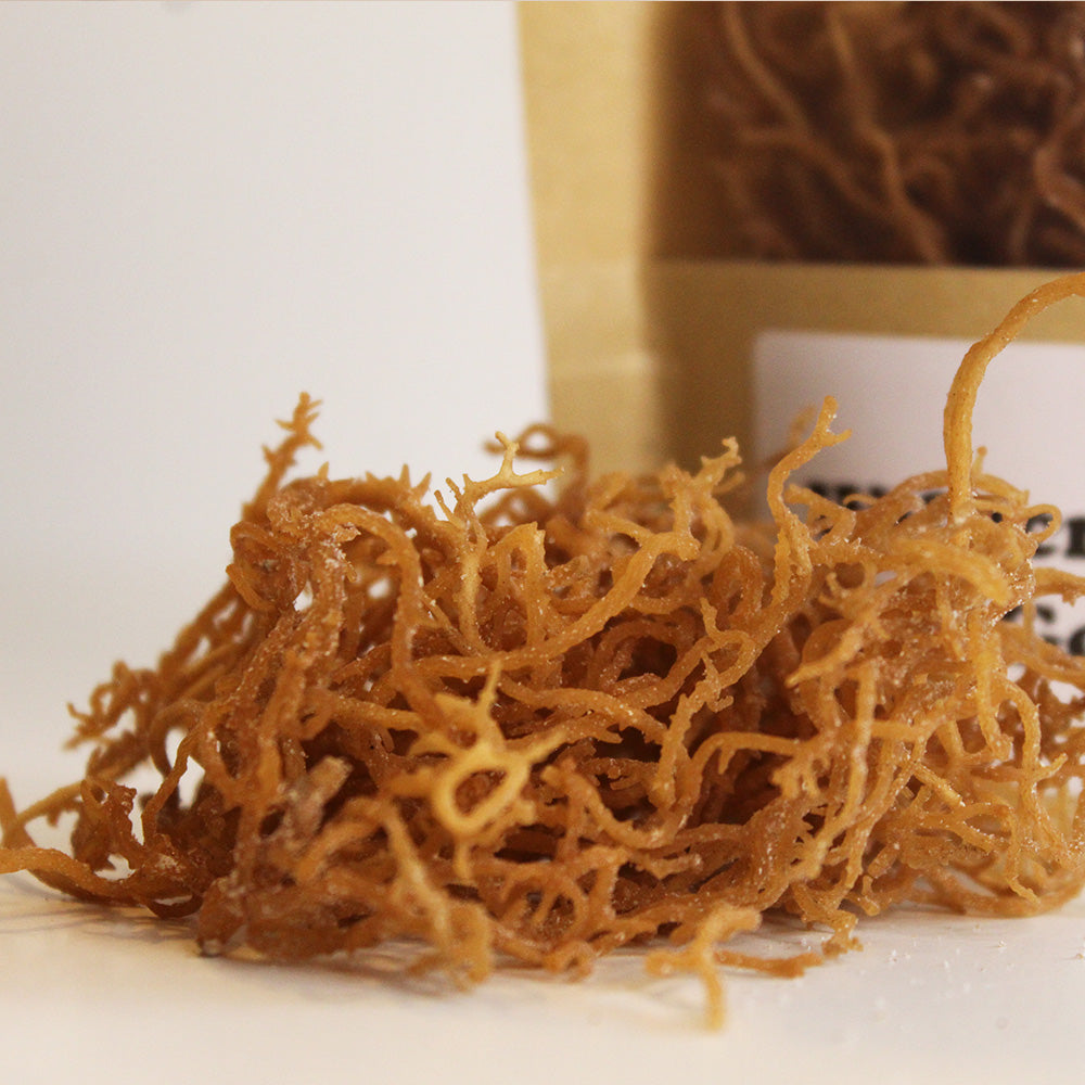Organic Golden Seamoss