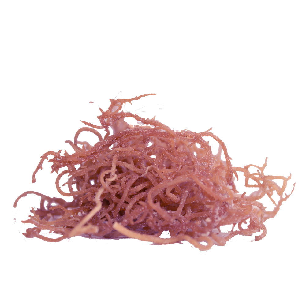 Organic Purple Seamoss